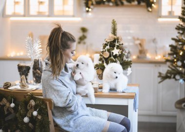 Güzel bir genç kız evde küçük tüylü Samoyed Husky köpekleriyle oynuyor. Mutfakta, yatakta ve Noel ağacının yanında bulunur. Noel için her şey dekore edildi. Kız köpeklerin yanında gülüyor! yakında yeni yıl