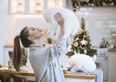 Güzel bir genç kız evde küçük tüylü Samoyed Husky köpekleriyle oynuyor. Mutfakta, yatakta ve Noel ağacının yanında bulunur. Noel için her şey dekore edildi. Kız köpeklerin yanında gülüyor! yakında yeni yıl