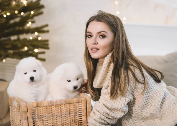 Una Hermosa Joven Está Casa Jugando Con Pequeños Cachorros Blancos —  Fotos de Stock