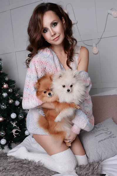 Una Hermosa Chica Con Maquillaje Pelo Posa Con Perros Pomeranianos —  Fotos de Stock