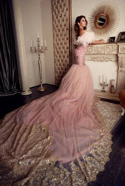 Menina Luxo Bonita Vestido Rosa Com Penas Costurado Com Contas — Fotografia de Stock