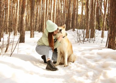 Güzel bir kız, Rus çam ormanlarında kırmızı bir köpekle yürüyor.