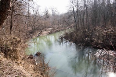 Nehir dağ orman derin içinde. Doğa kompozisyon. Yeşil ormanın içinden akan nehir dağ