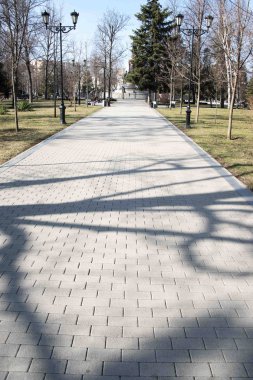 Bahar parkta yolundaki