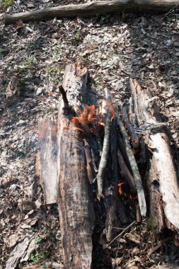 Kömür ve alevler ateş edin. Ateşi tutuşturmak.