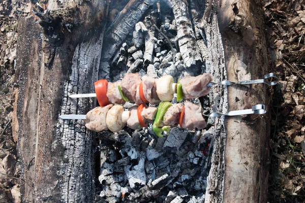 As partes suculentas de carne com o molho preparam-se no fogo. — Fotografia de Stock