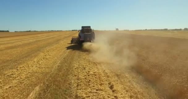 Trekkers op oogst veld — Stockvideo