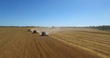 Traktörler hasat alan üzerinde