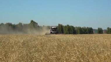 Traktörler hasat alan üzerinde