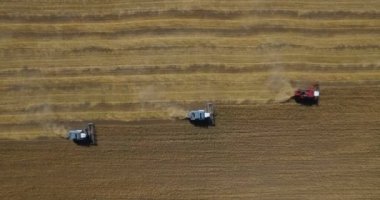 Traktörler hasat alan üzerinde