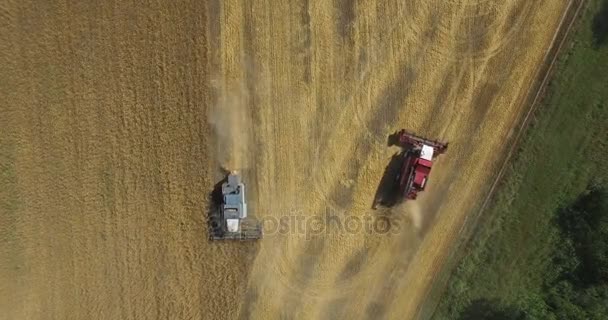 Traktory na polu zbiorów — Wideo stockowe
