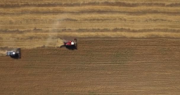 Tracteurs sur le champ de récolte 