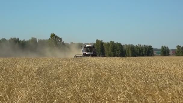 Tractores en el campo de cosecha — Vídeos de Stock