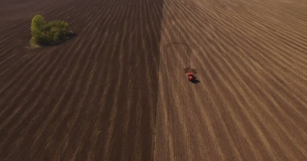Aérien du tracteur sur le champ de récolte — Video