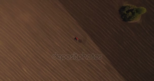 Aérien du tracteur sur le champ de récolte 