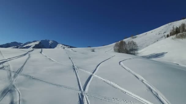 Motorschlitten stürmen im Pulverschnee einen Berg hinunter — Stockvideo