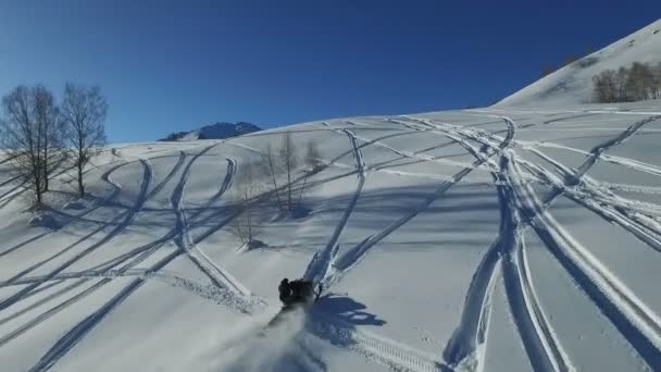 Снегоходы падают с горы в порошковом снегу — стоковое видео