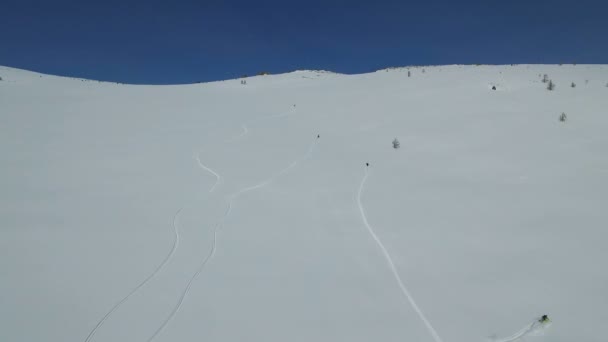 Snöskotrar avgifter ner ett berg i pudersnö — Stockvideo