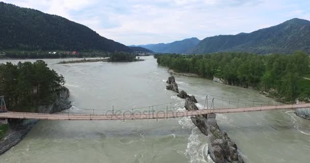 Brücke über den Fluss Katun bei Überschwemmungen. altay — Stockvideo