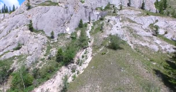 Антена вистрілив пишні дороги та лісу, Altay — стокове відео