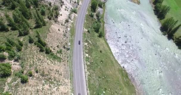Tiro aéreo estrada e floresta curvas, Altay — Vídeo de Stock