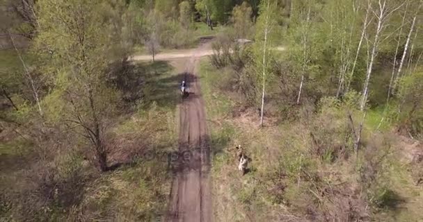 NOVOSIBIRSK, RUSSIA - MAY 15, 2015: Mud racing with Dirt Bikes — Stock Video