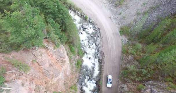 Antena disparo camino curvy y el bosque, Altay — Vídeos de Stock