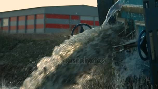 Patatine fritte di pesce vengono rilasciati nel lago Clip Video