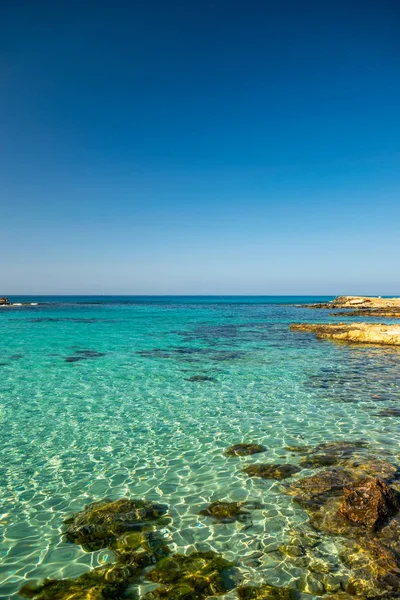 Uma Das Praias Álamo Mais Ilha Chipre Praia Nissi — Fotografia de Stock
