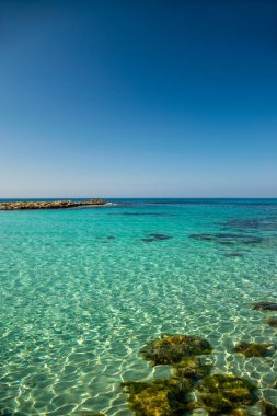 Kıbrıs adasındaki en kavak ağacı plajlarından biri Nissi Sahili 'dir..