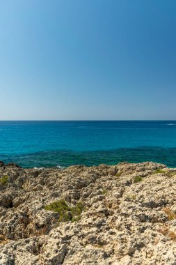Kıbrıs adasındaki en kavak ağacı plajlarından biri Nissi Sahili 'dir..