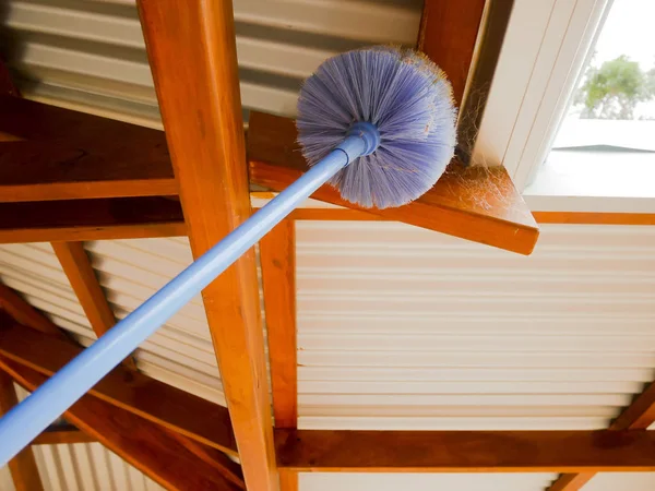 Örümcek ağı fırça süpürme spiderweb