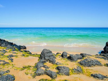 güneşli bir günde güzel bir plaj 