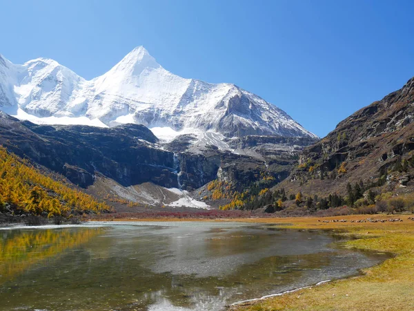 Karla kaplı dağ tepeleri, göl ve bharal manzarası veya mavi sh — Stok fotoğraf