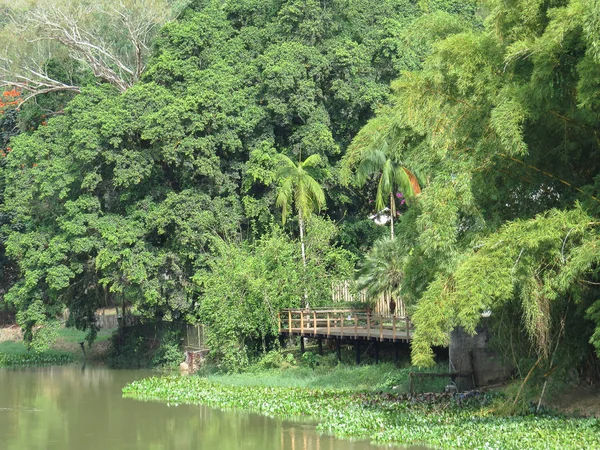 Pier on the river bank in forest — Stock Photo, Image