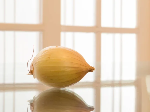 Uma cebola inteira refletida, com fundo branco — Fotografia de Stock