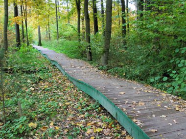 Sonbahar Park ahşap yürüme yolu.