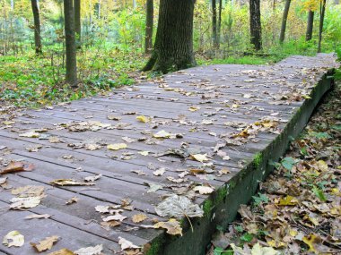 Sonbahar Park ahşap yürüme yolu.