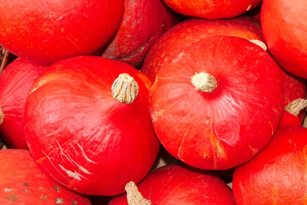 Kırmızı hokkaido kabak