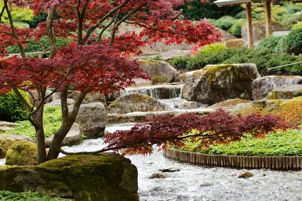 Bir parkta basamaklı su