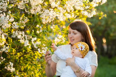 Baharda çiçeklenme kiraz anne ve kızı bebek ile bahçe keyfini doğa
