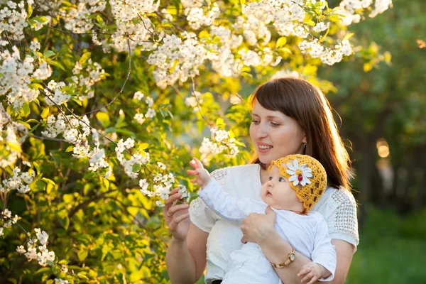 En el jardín de primavera con flor de cerezo mamá y bebé hija disfrutar de la naturaleza —  Fotos de Stock
