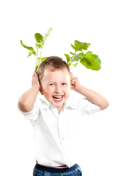 El niño alegre y el rábano de jardín en forma de liebres de cierva de las orejas sobre un fondo blanco —  Fotos de Stock