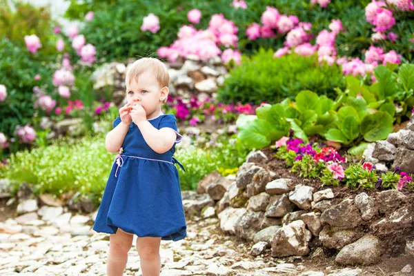 Chica camina en el Parque con macizos de flores —  Fotos de Stock