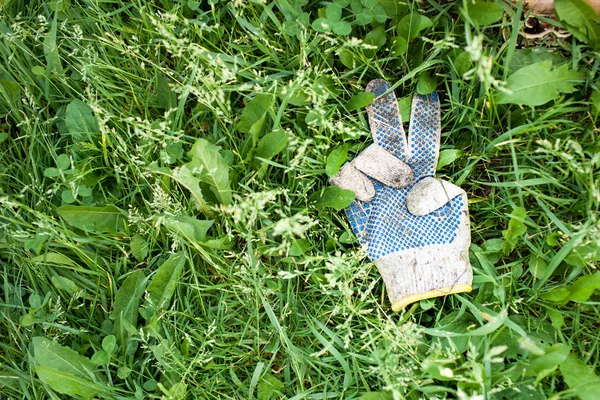 Worn a work glove lying on the grass