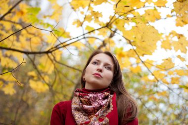 Sarı akçaağaç arka plan üzerinde genç kadın bırakır