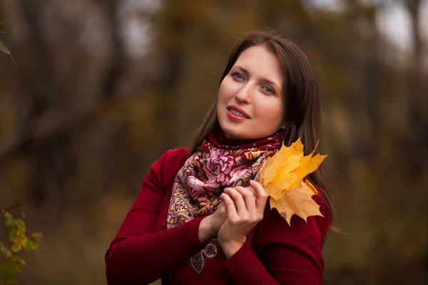 Beautiful young woman with yellow maple leaves in hands — Stock Photo, Image