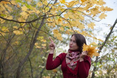 Sarı akçaağaç arka plan üzerinde genç kadın bırakır