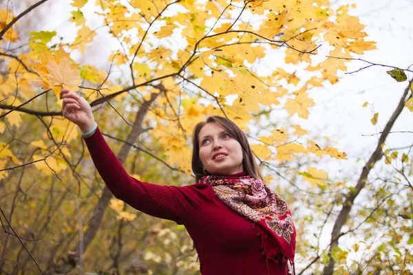 Sarı akçaağaç arka plan üzerinde genç kadın bırakır