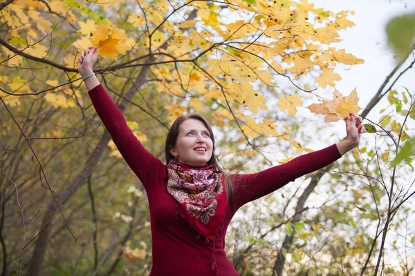 Fiatal nő a háttér sárga juhar levelek — Stock Fotó